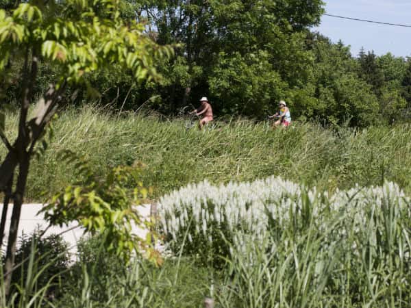 Quai des carrières blanches paysager SPLAAD