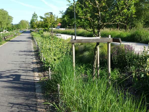 Quai des carrières blanches piste cyclable SPLAAD