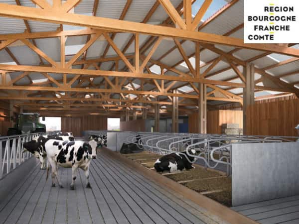 La stabulation vue de l'intérieur